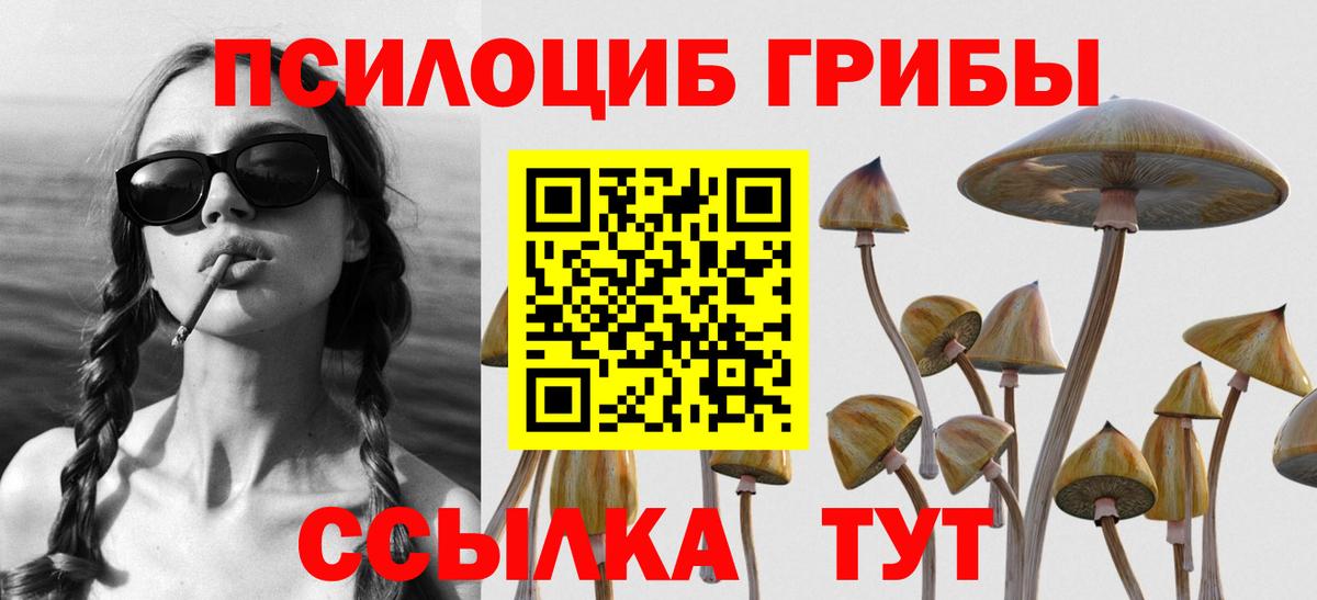продажа наркотиков  Вход с VPN  Костомукша  Псилоцибиновые грибы Magic Shrooms  Псилоцибиновые грибы мицелий 